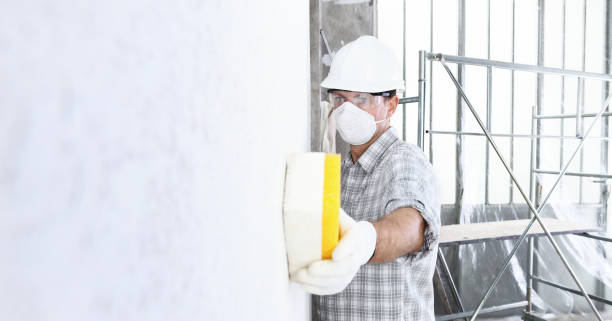 Best Residential Mold Inspection & Testing  in Harrogate, TN